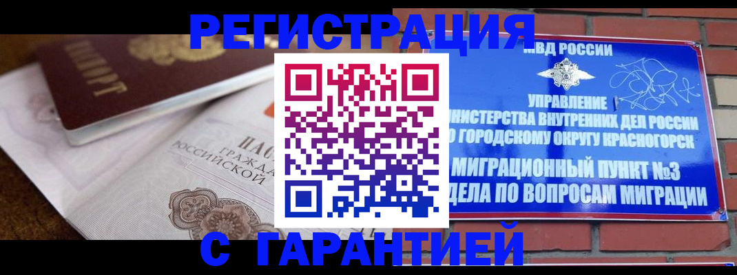 прописка 2025 в Елизово